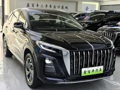 2025 Hongqi HS3 PHEV 117km, чёрный — фото 3
