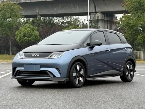 2024 BYD Dolphin EV 401km Honor Knight