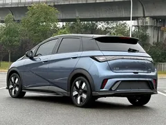 2024 BYD Dolphin EV 401km Honor Knight, синий — фото 4