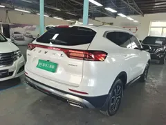 2021 Haval H6 1.5T AT Guochao Urban, белый — фото 7