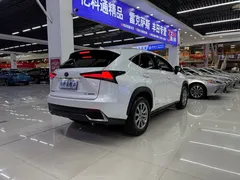 2020 Lexus NX 300h Hybrid 2WD Fashion, белый — фото 5