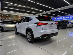 2020 Lexus NX 300h Hybrid 2WD Fashion, белый — фото 6