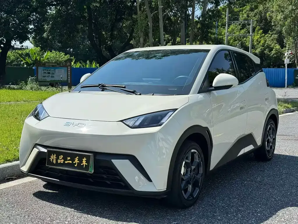 2024 BYD Seagull Honor 305km Vitality