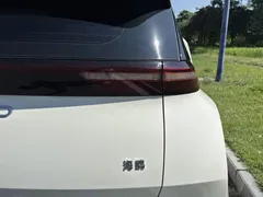 2024 BYD Seagull Honor 305km Vitality, белый — фото 12