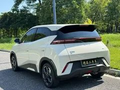 2024 BYD Seagull Honor 305km Vitality, белый — фото 14