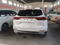 2021 Haval H6 1.5T AT Guochao Urban, белый — фото 6