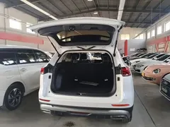 2021 Haval H6 1.5T AT Guochao Urban, белый — фото 19