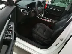 2022 Geely Emgrand 4th Gen 1.5L CVT Premium, белый — фото 15