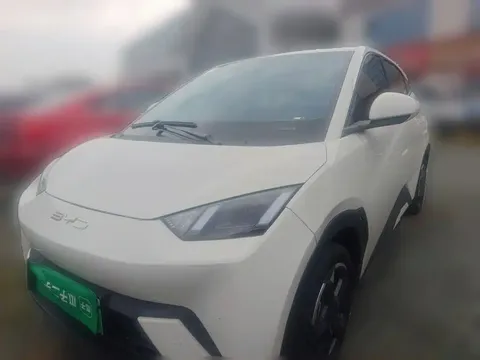 2023 BYD Seagull Freedom