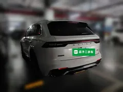 2023 Geely Monjaro 2.0TD High Power AT 2WD Flagship, белый — фото 25