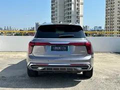 2021 Hongqi E-HS9 460km Qixiang 6-Seat — фото 13