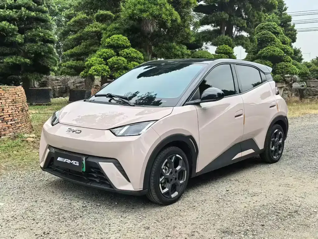 2025 BYD Seagull 305km Freedom