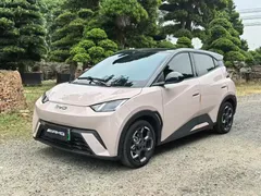 2025 BYD Seagull 305km Freedom — фото 1