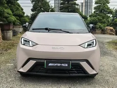 2025 BYD Seagull 305km Freedom — фото 2