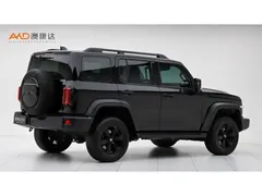 2023 Tank 300 2.0T Off-road Conqueror — фото 3