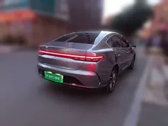 2024 BYD Destroyer 05 DM-i PHEV 55km Luxury — фото 4