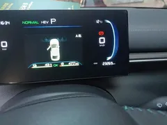 2024 BYD Destroyer 05 DM-i PHEV 55km Luxury — фото 8