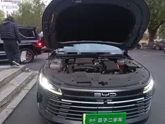 2024 BYD Destroyer 05 DM-i PHEV 55km Luxury — фото 21