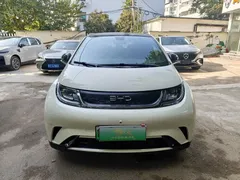 2025 BYD Dolphin 420km Fashion — фото 1