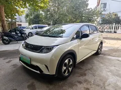 2025 BYD Dolphin 420km Fashion — фото 2
