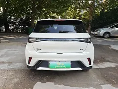 2025 BYD Dolphin 420km Fashion — фото 4