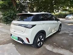 2025 BYD Dolphin 420km Fashion — фото 5