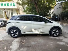 2025 BYD Dolphin 420km Fashion — фото 6