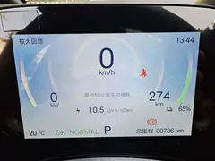 2025 BYD Dolphin 420km Fashion — фото 12