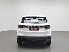 2023 Geely Coolray 1.5T DCT Platinum, белый — фото 4