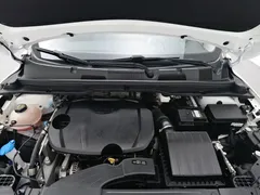 2023 Geely Coolray 1.5T DCT Platinum, белый — фото 6