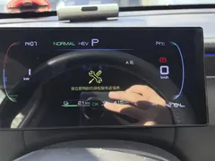 2025 BYD Qin PLUS DM-i PHEV Smart Driving 55km Leading, белый — фото 14
