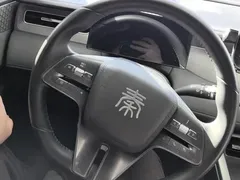 2025 BYD Qin PLUS DM-i PHEV Smart Driving 55km Leading, белый — фото 15