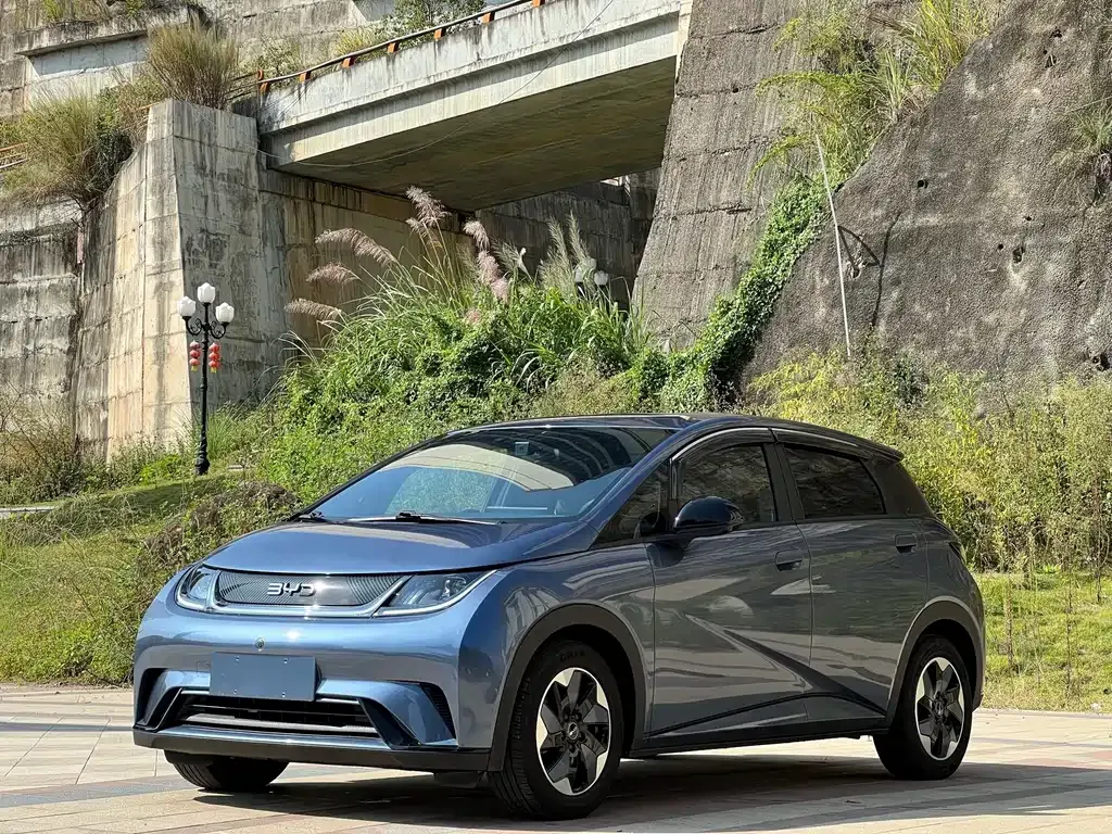 2025 BYD Dolphin 420km Freedom