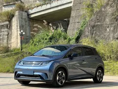 2025 BYD Dolphin 420km Freedom — фото 1