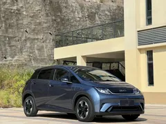 2025 BYD Dolphin 420km Freedom — фото 3