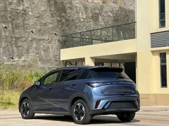 2025 BYD Dolphin 420km Freedom — фото 13