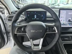 2024 BYD Destroyer 05 DM-i PHEV 55km Luxury, белый — фото 11