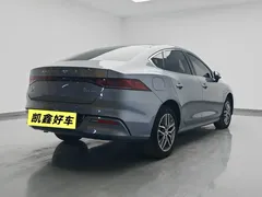 2023 BYD Qin PLUS Champion DM-i PHEV 120KM — фото 4