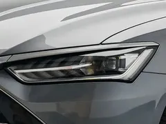 2023 BYD Qin PLUS Champion DM-i PHEV 120KM — фото 19