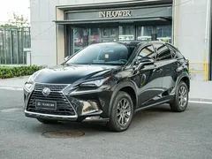 2020 Lexus NX 200 2WD Fengxing China VI, чёрный — фото 1