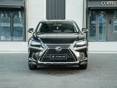 2020 Lexus NX 200 2WD Fengxing China VI, чёрный — фото 2