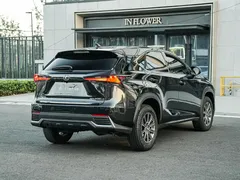 2020 Lexus NX 200 2WD Fengxing China VI, чёрный — фото 4