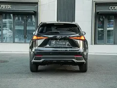 2020 Lexus NX 200 2WD Fengxing China VI, чёрный — фото 5