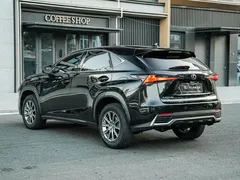 2020 Lexus NX 200 2WD Fengxing China VI, чёрный — фото 6