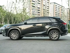 2020 Lexus NX 200 2WD Fengxing China VI, чёрный — фото 7