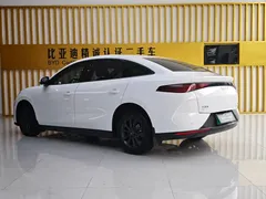 2025 BYD e7 EV 520 Smart Travel, белый — фото 7