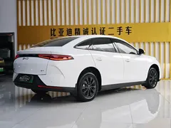 2025 BYD e7 EV 520 Smart Travel, белый — фото 9