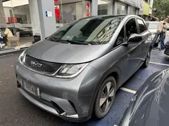 2023 BYD Dolphin 420km Fashion — фото 1