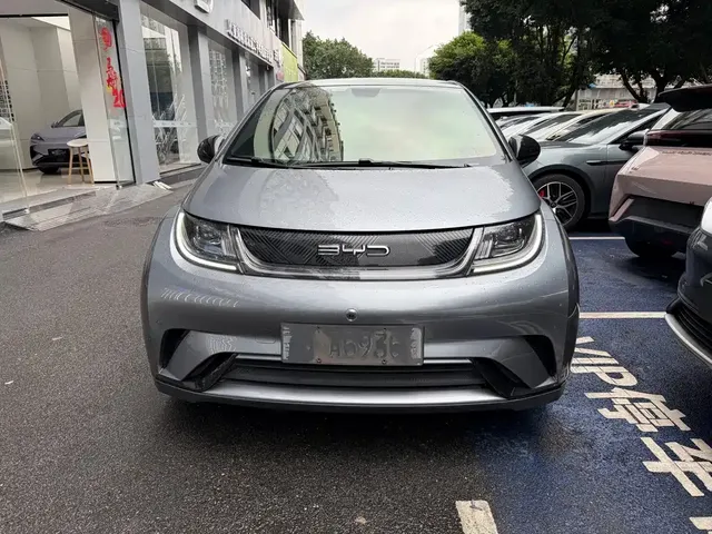 2023 BYD Dolphin 420km Fashion