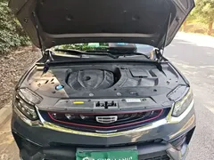 2020 Geely Tugella 350T — фото 16